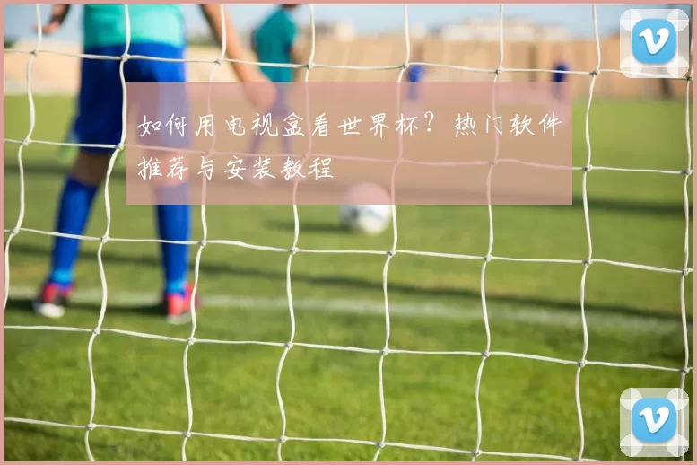 如何用电视盒看世界杯？热门软件推荐与安装教程
