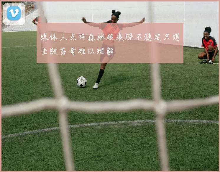 媒体人点评森林狼表现不稳定只想击败芬奇难以理解