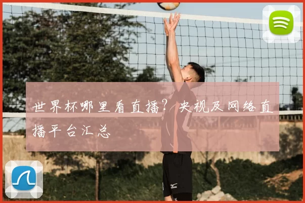 世界杯哪里看直播？央视及网络直播平台汇总