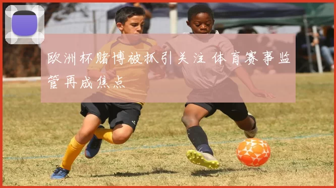 欧洲杯赌博被抓引关注 体育赛事监管再成焦点