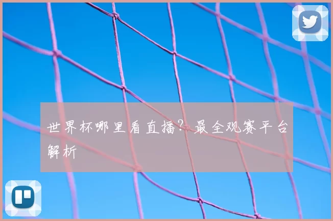 世界杯哪里看直播?最全观赛平台解析