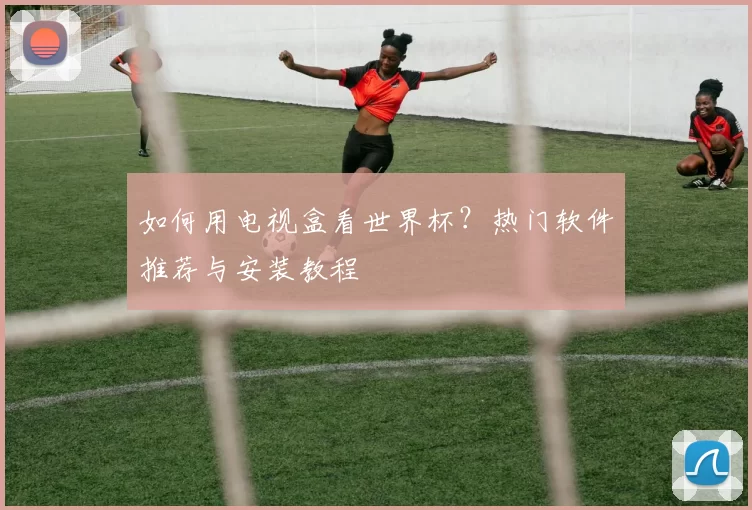 如何用电视盒看世界杯？热门软件推荐与安装教程