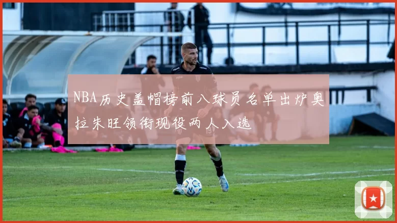NBA历史盖帽榜前八球员名单出炉奥拉朱旺领衔现役两人入选