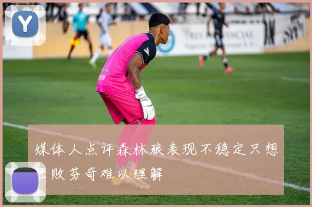 媒体人点评森林狼表现不稳定只想击败芬奇难以理解