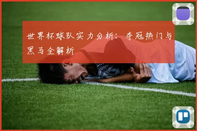 世界杯球队实力分析:夺冠热门与黑马全解析