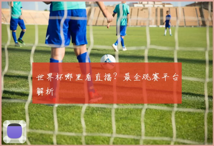 世界杯哪里看直播？最全观赛平台解析