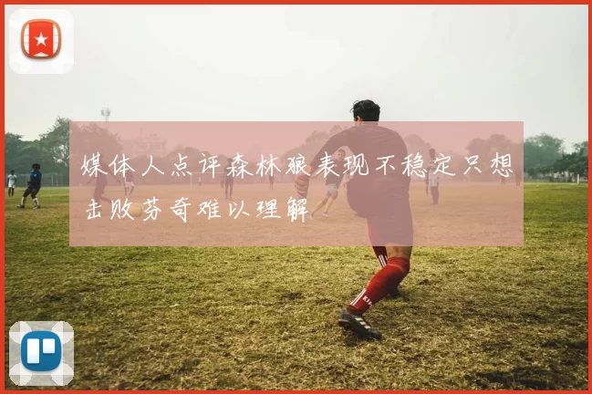 媒体人点评森林狼表现不稳定只想击败芬奇难以理解