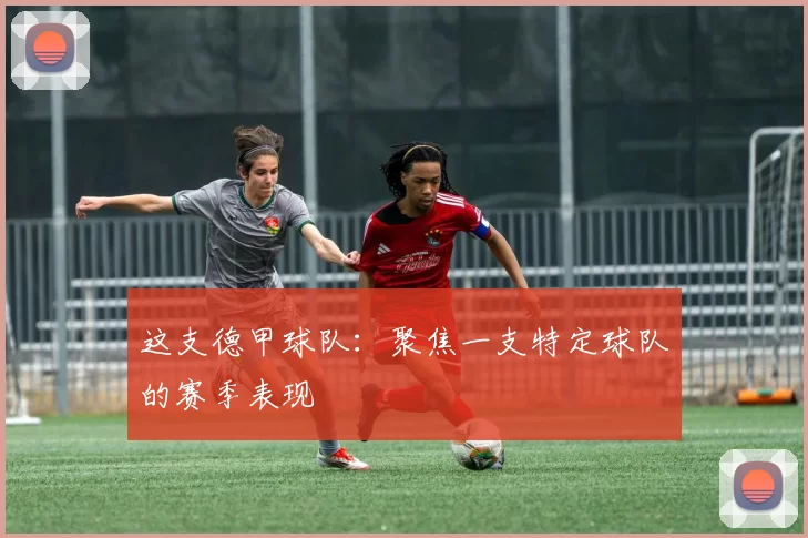 这支德甲球队：聚焦一支特定球队的赛季表现
