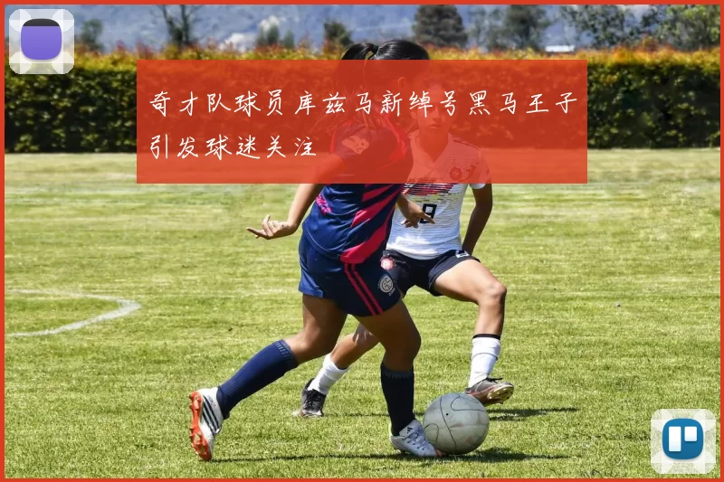 奇才队球员库兹马新绰号黑马王子引发球迷关注