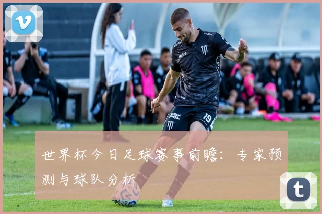 世界杯今日足球赛事前瞻：专家预测与球队分析