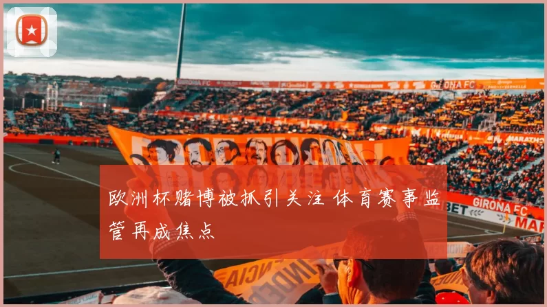 欧洲杯赌博被抓引关注 体育赛事监管再成焦点