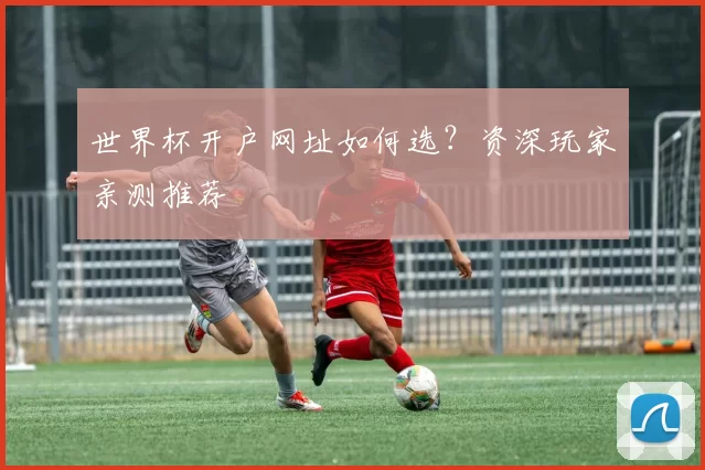 世界杯开户网址如何选？资深玩家亲测推荐