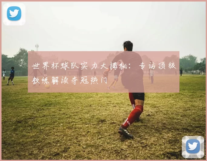 世界杯球队实力大揭秘：专访顶级教练解读夺冠热门