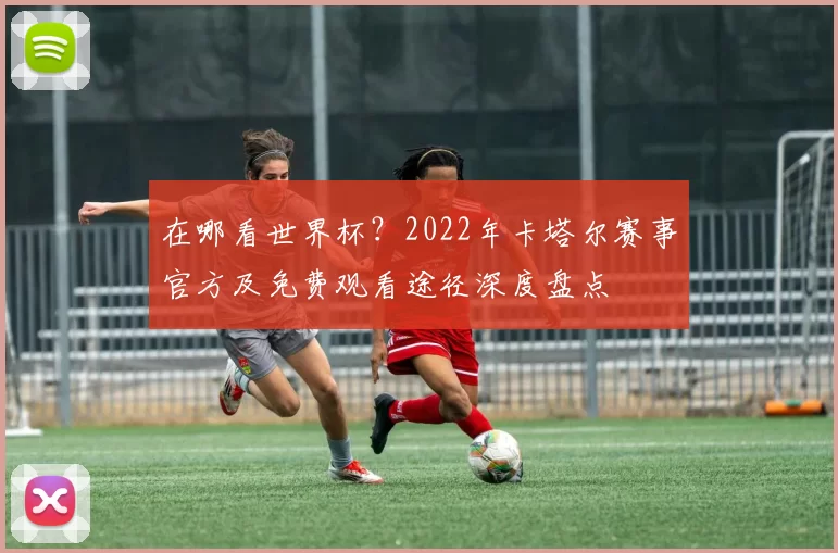 在哪看世界杯?2022年卡塔尔赛事官方及免费观看途径深度盘点